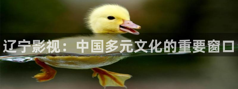 红叶电影：辽宁影视：中国多元文化的重要窗口