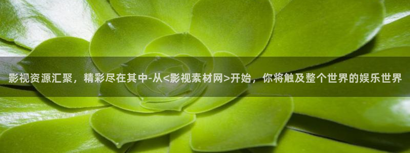 电影红叶：影视资源汇聚，精彩尽在其中-从<影视素材网>开始，你将触及整个世界的娱乐世界