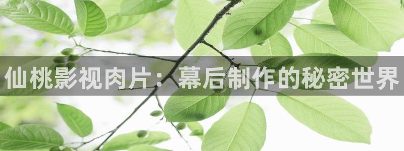 红叶影城影讯：仙桃影视肉片：幕后制作的秘密世界