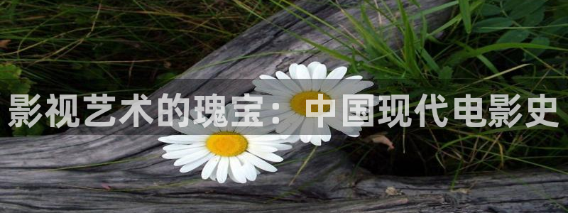 红叶影城影讯：影视艺术的瑰宝：中国现代电影史